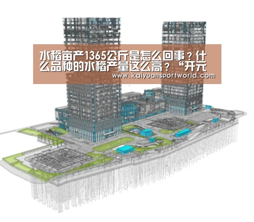 开元电竞
